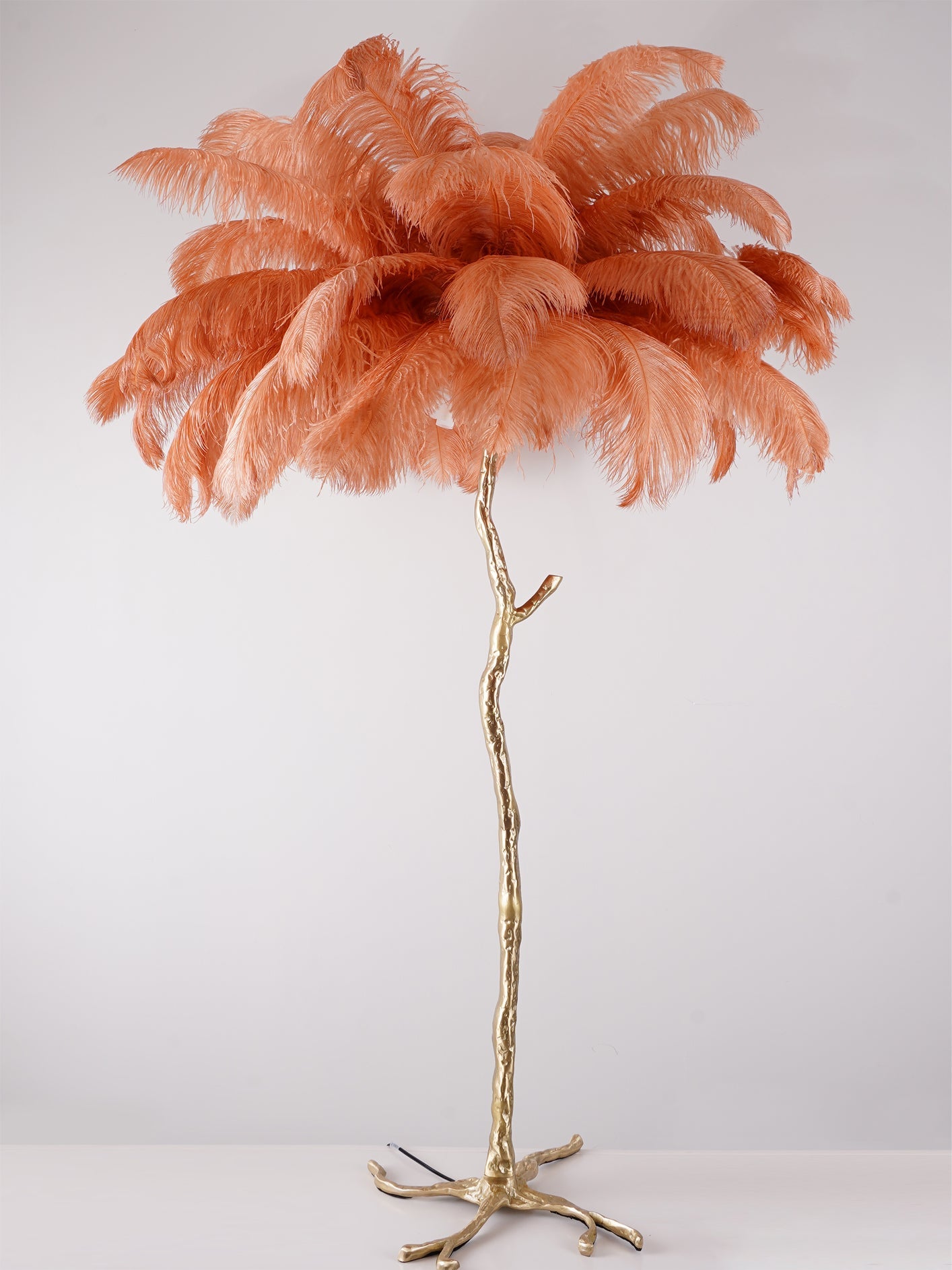 Ostrich Feather Brass Floor-mounted Lamp Floor Lamp