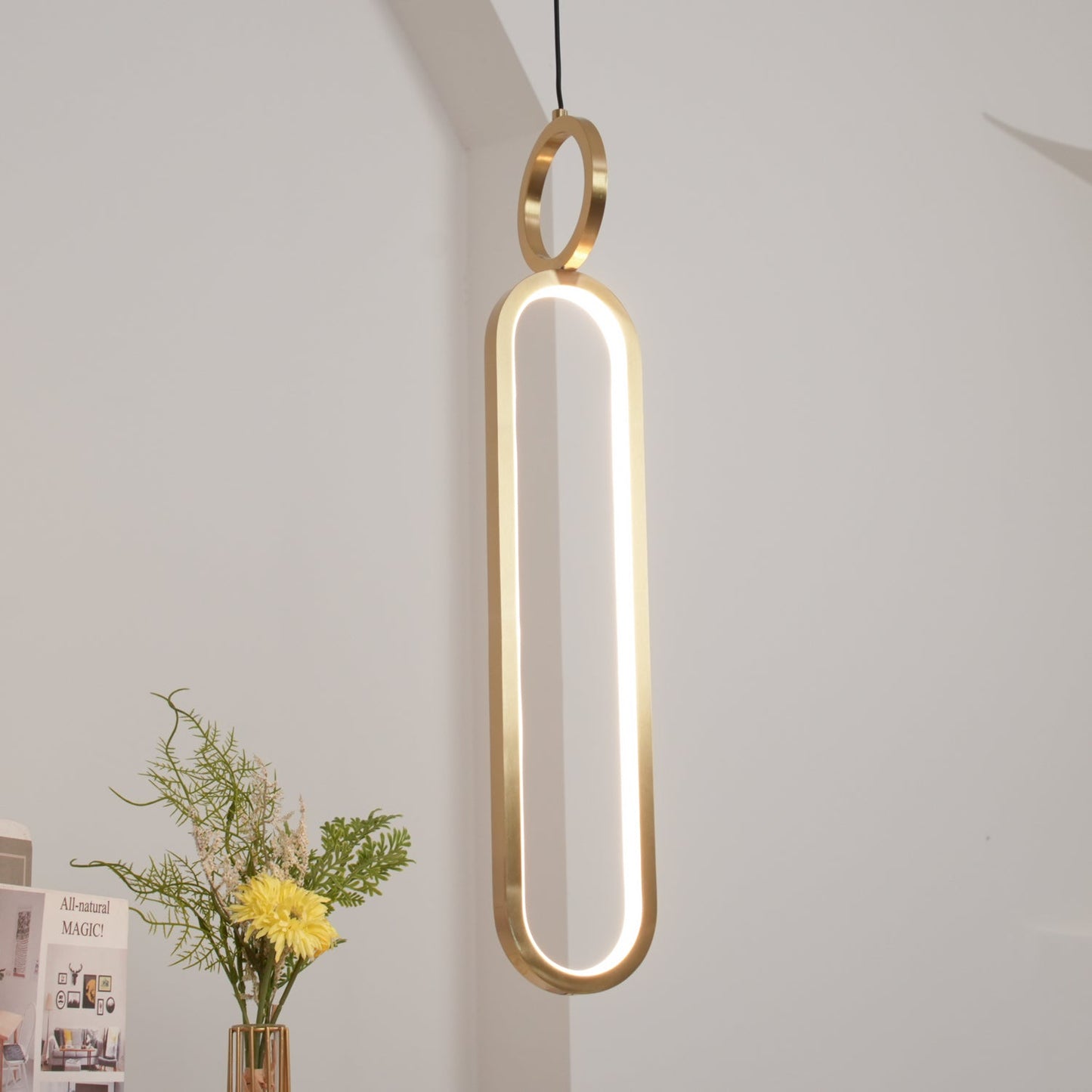 Oval Rings Houselight Pendant Light