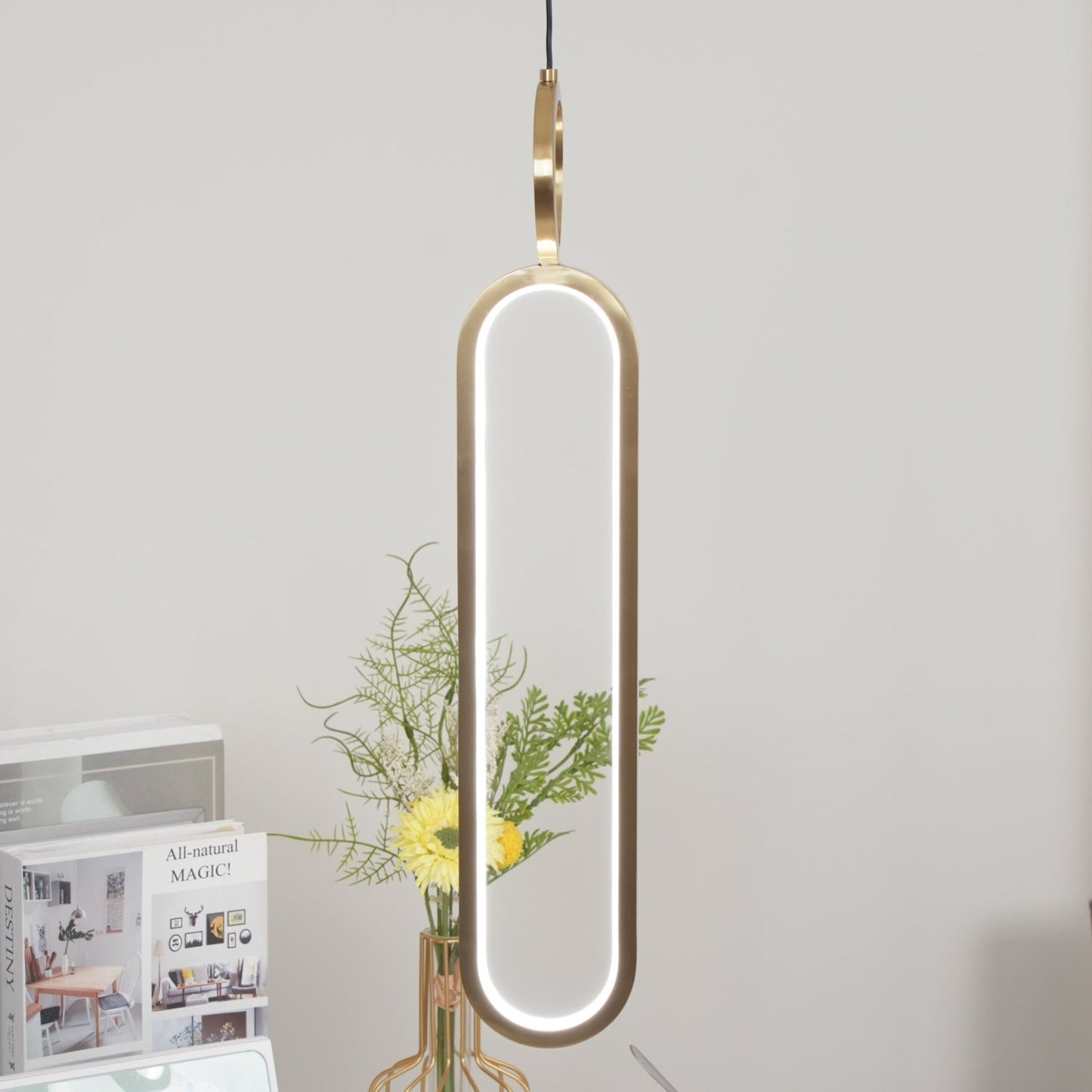 Oval Rings Houselight Pendant Light