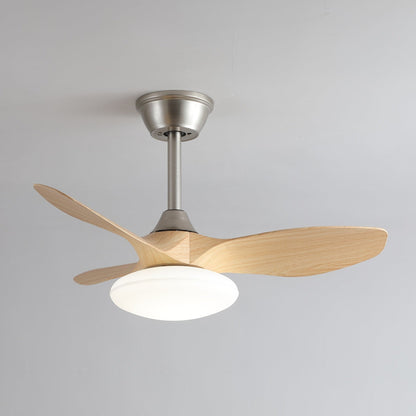 Zephira Ceiling Fan Light