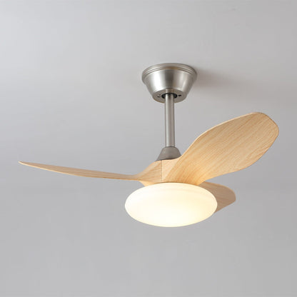 Zephira Ceiling Fan Light