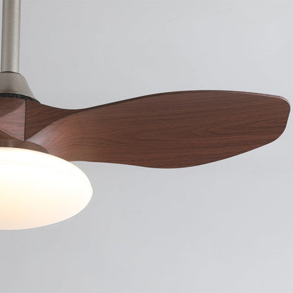 Zephira Ceiling Fan Light