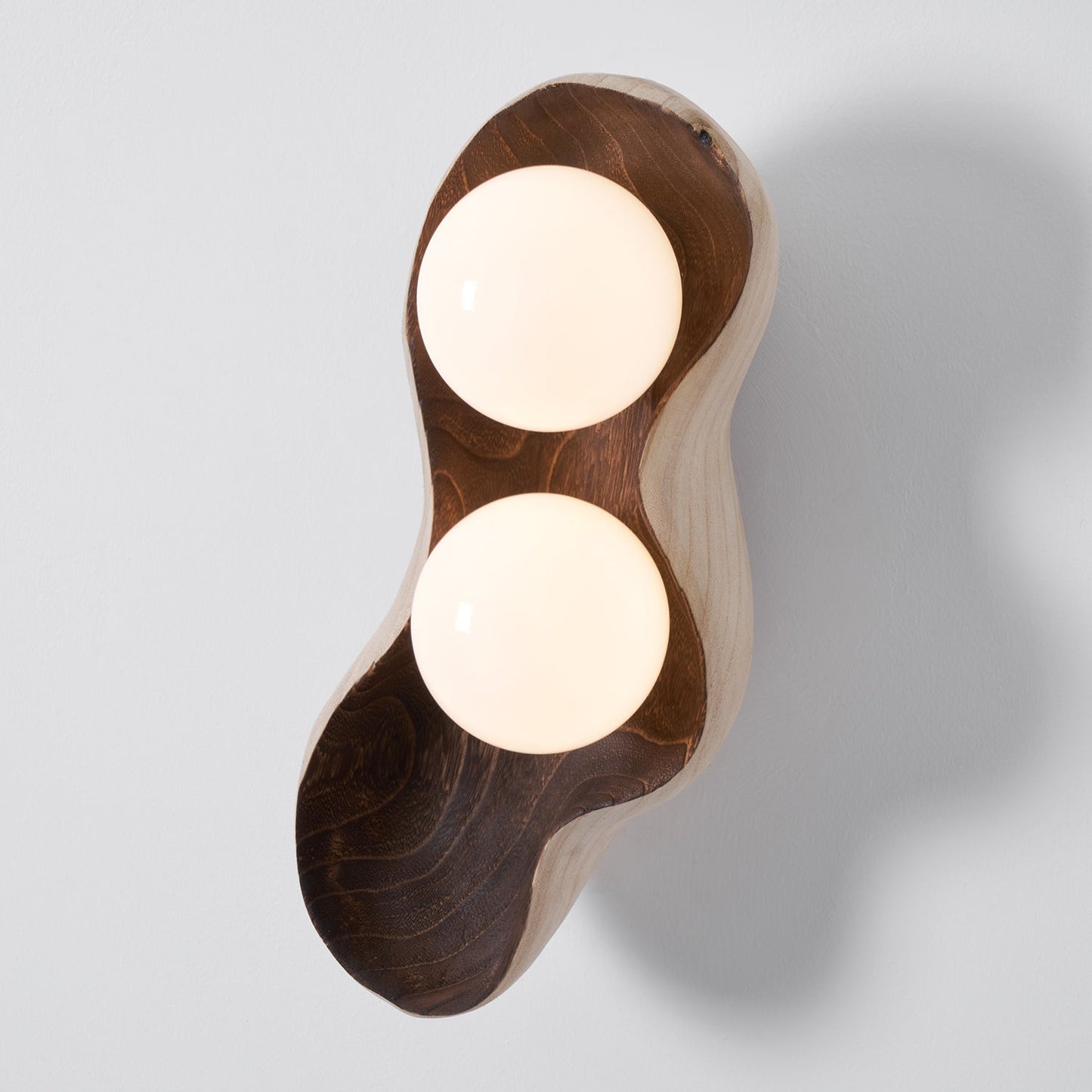 Dualis Rootlight Wall Lamp