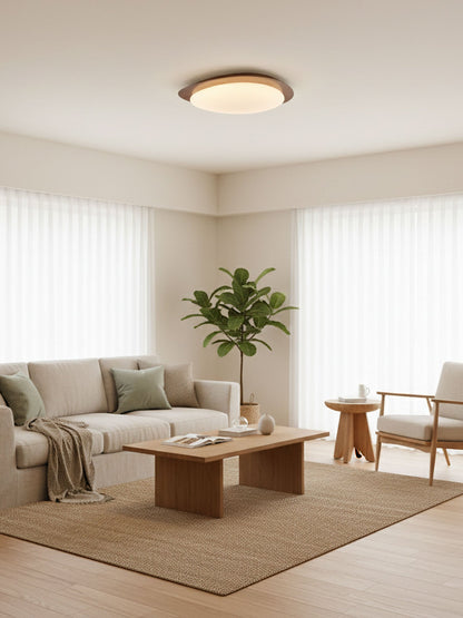 Pebble Metal Ceiling Light