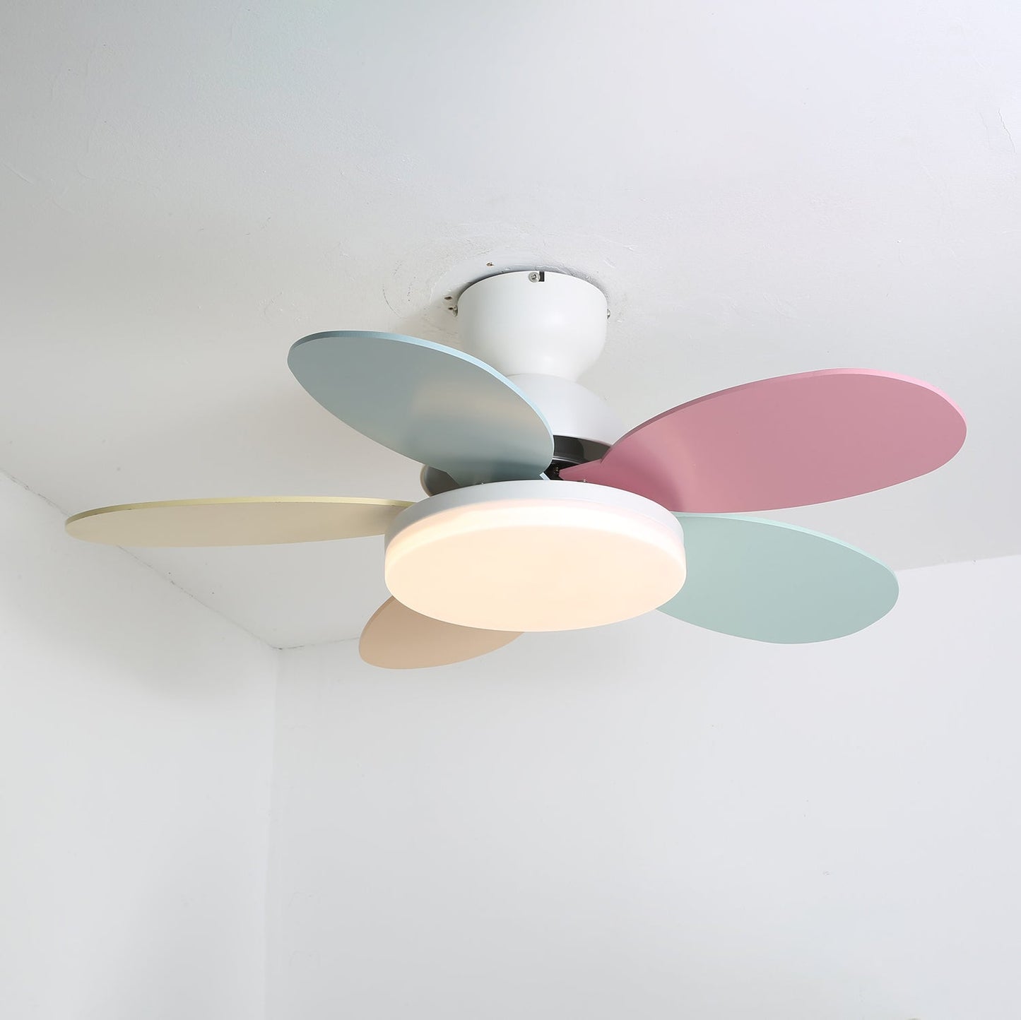 Petalo Ceiling Fan Light