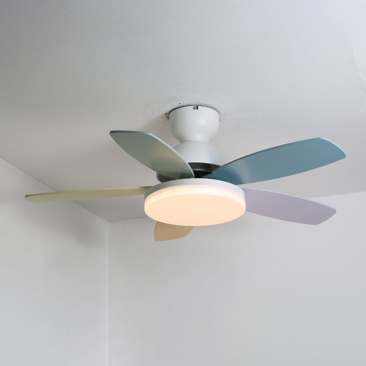 Petalo Ceiling Fan Light