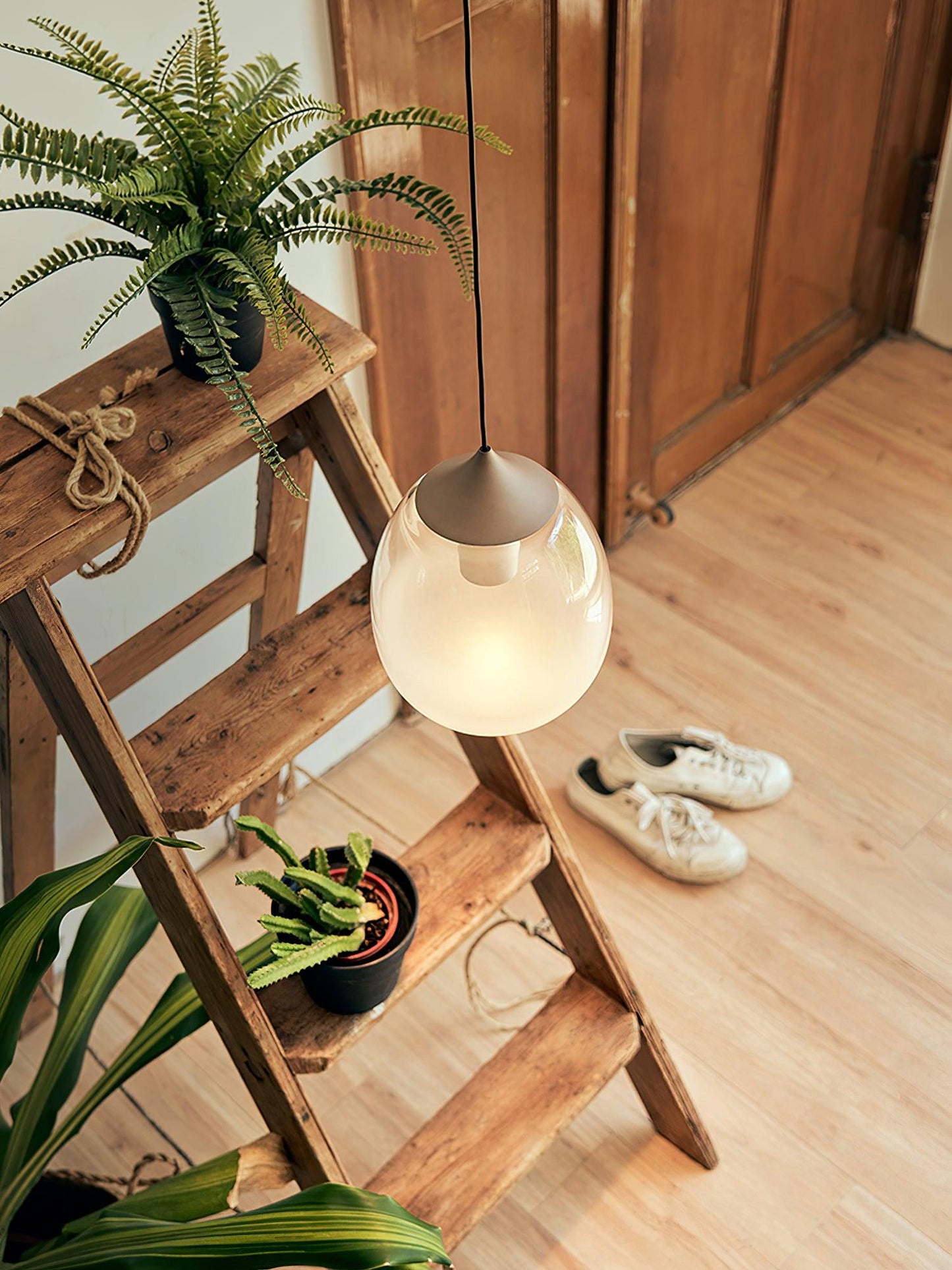 Petra Drop light Pendant Light