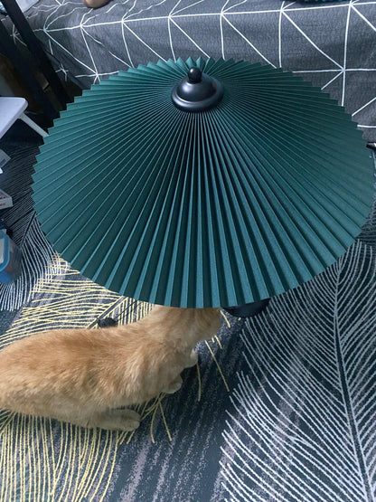 Pleated Hat Portable lamp Table Lamp