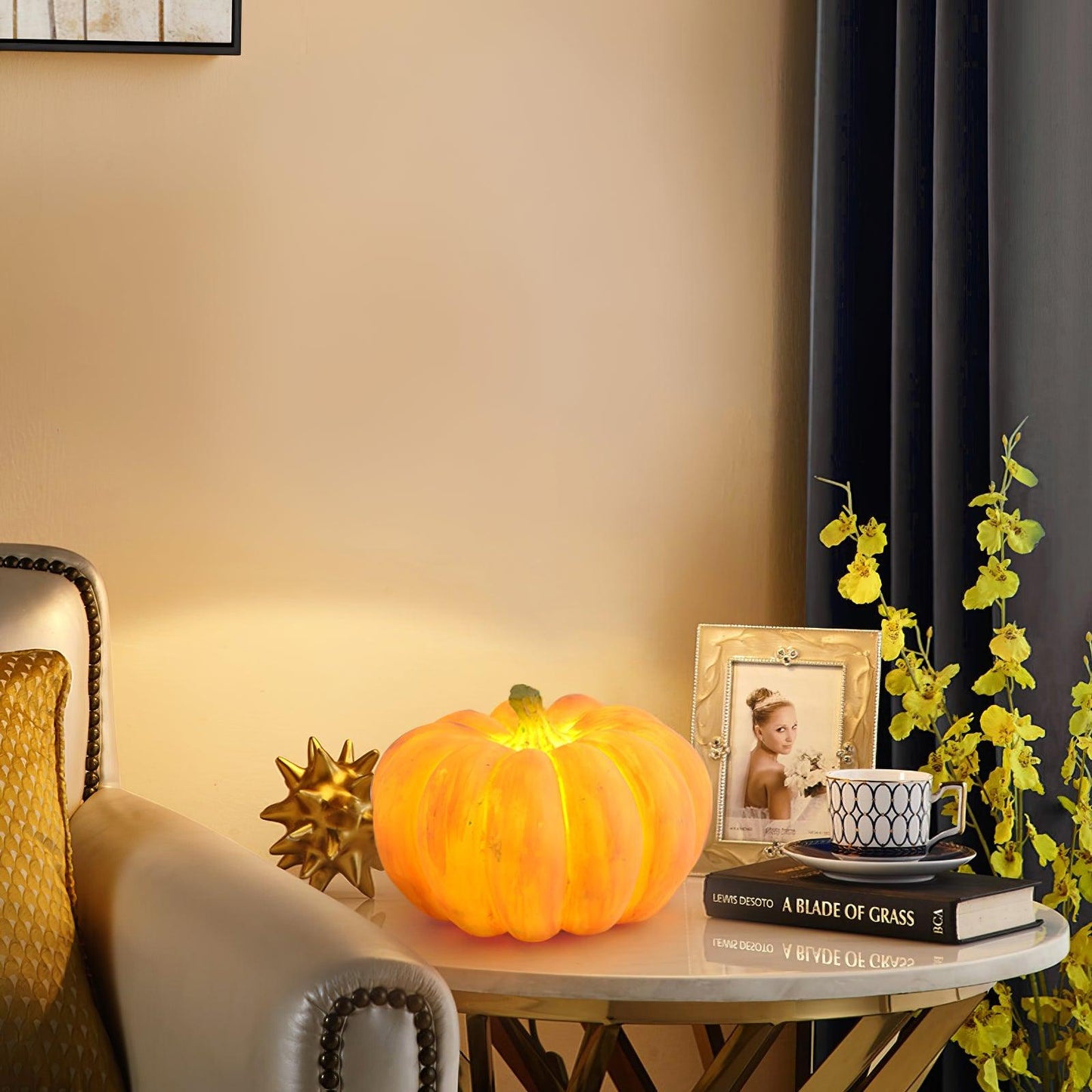 Portable Pumpkin Built-in Battery Bedside lamp Table Lamp