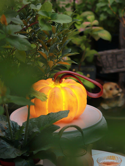 Portable Pumpkin Built-in Battery Bedside lamp Table Lamp