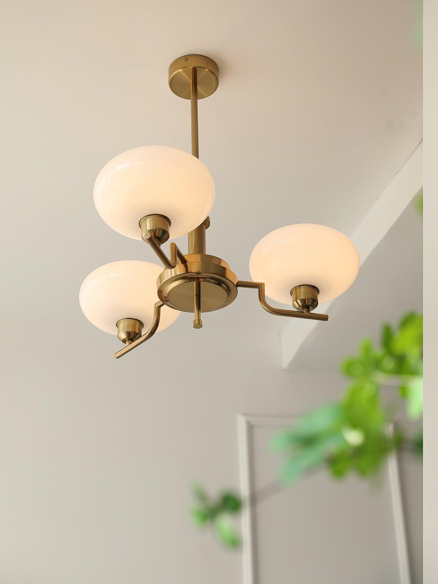 Puja Pendant light Chandeliers