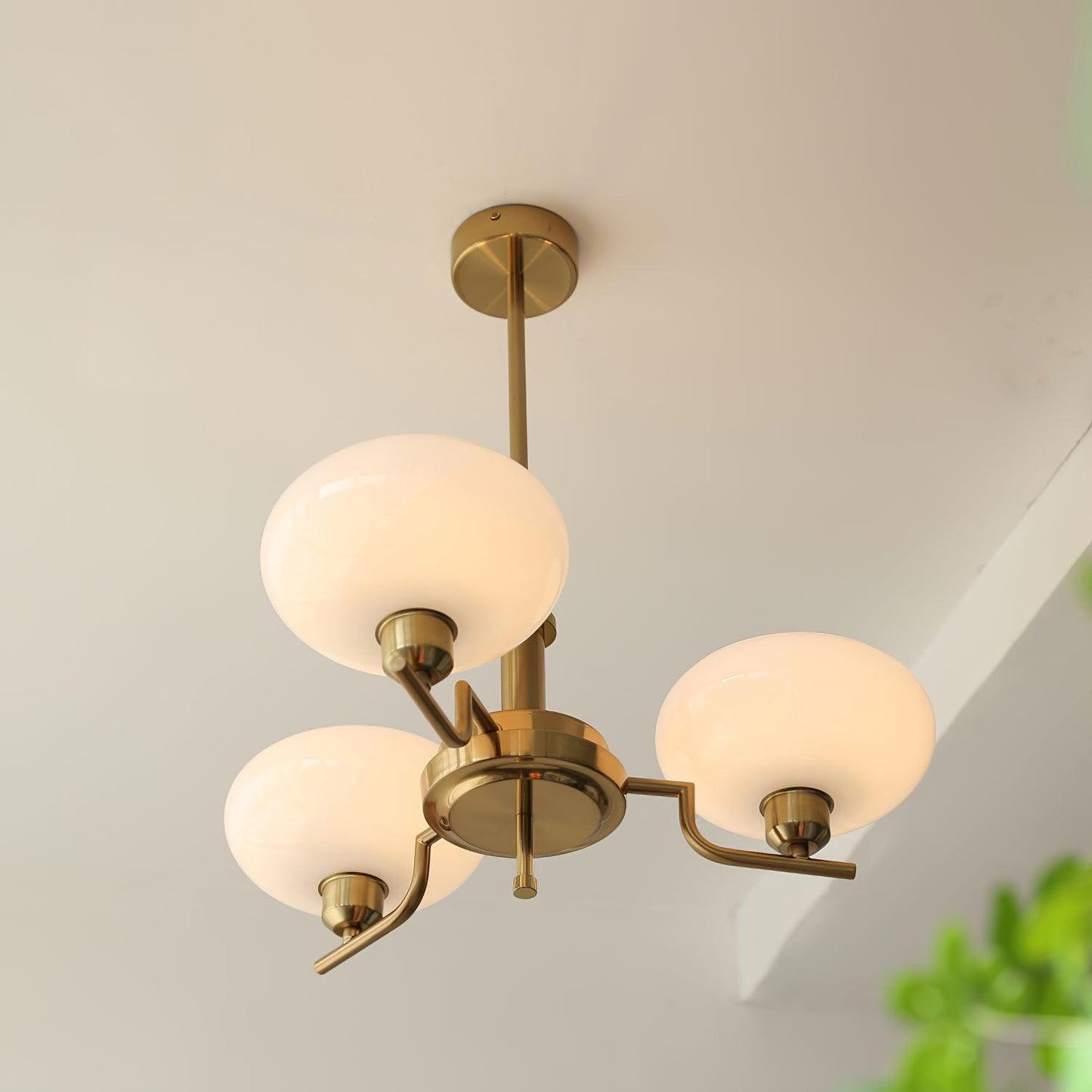 Puja Pendant light Chandeliers