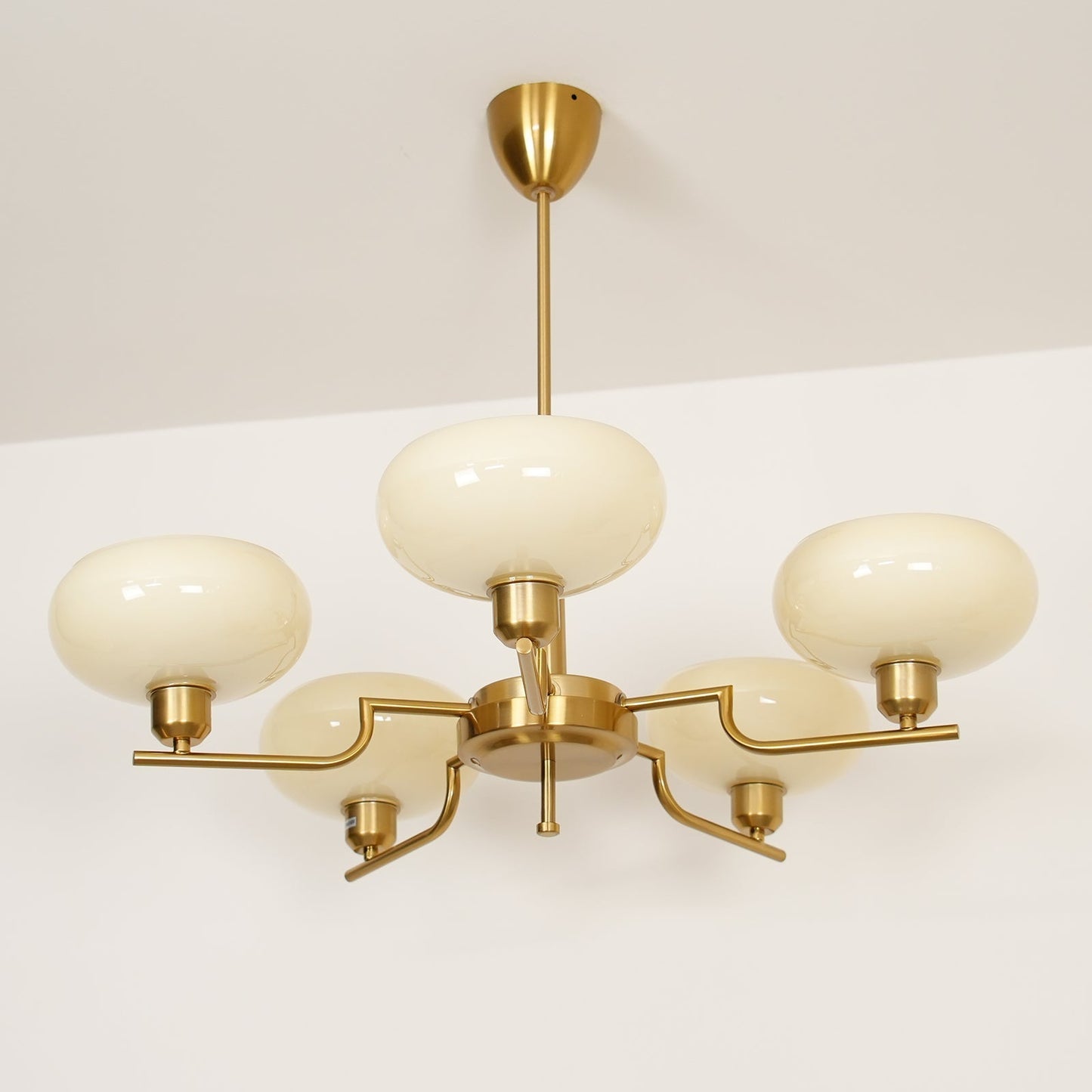 Puja Pendant light Chandeliers