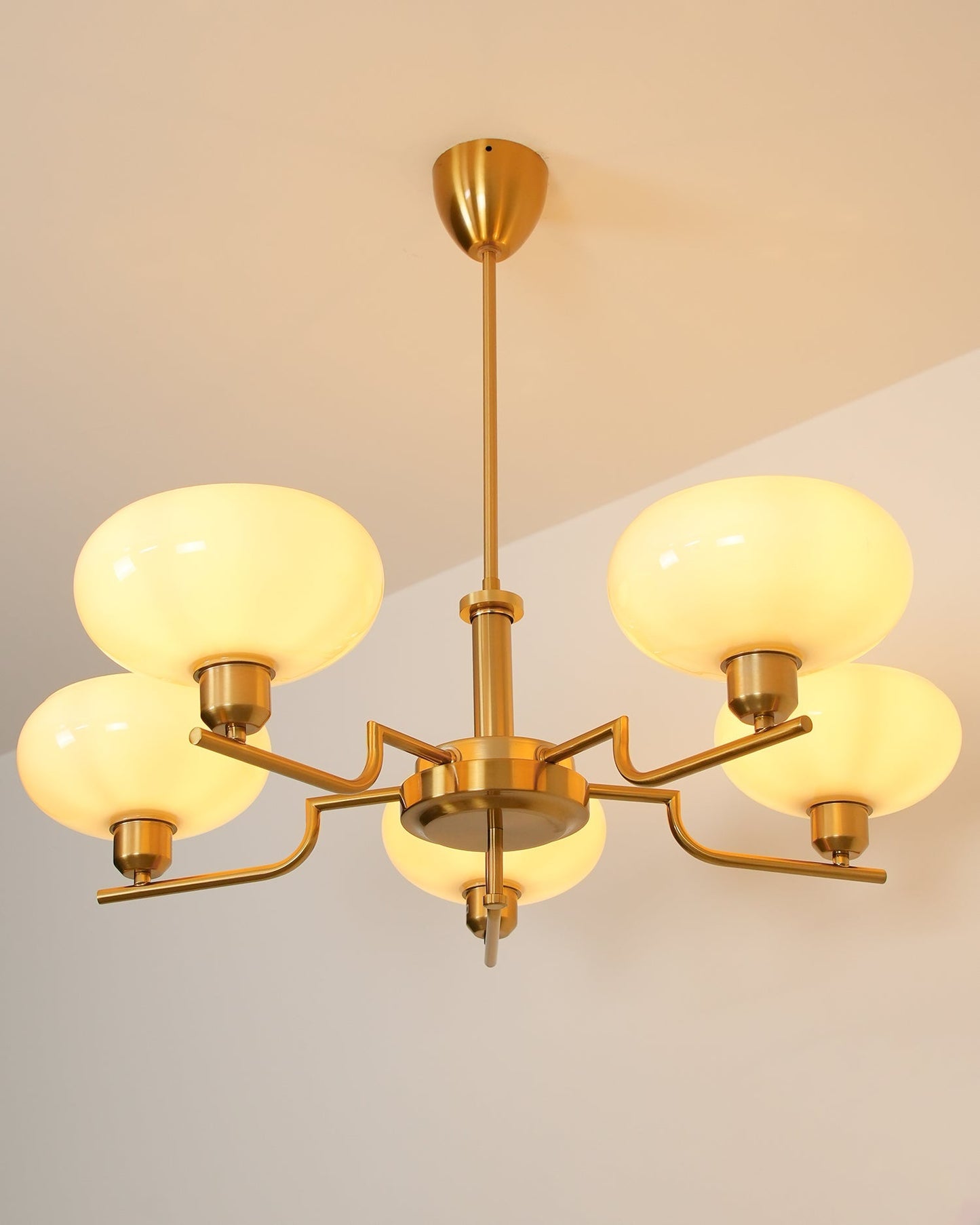 Puja Pendant light Chandeliers