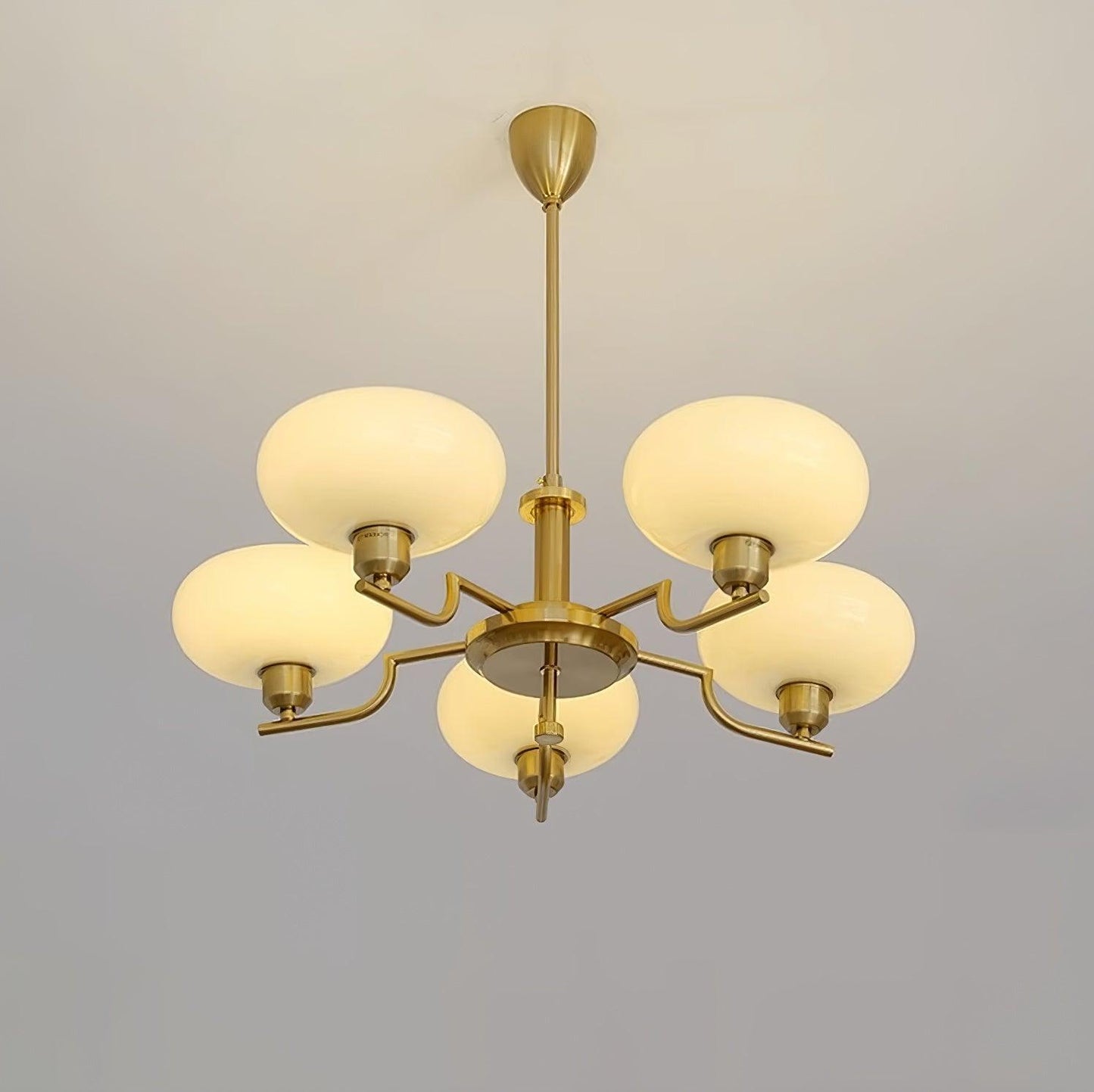 Puja Pendant light Chandeliers