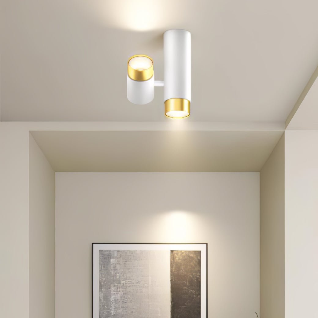 Puma Spotlight Ceiling-mounted light Ceiling Light