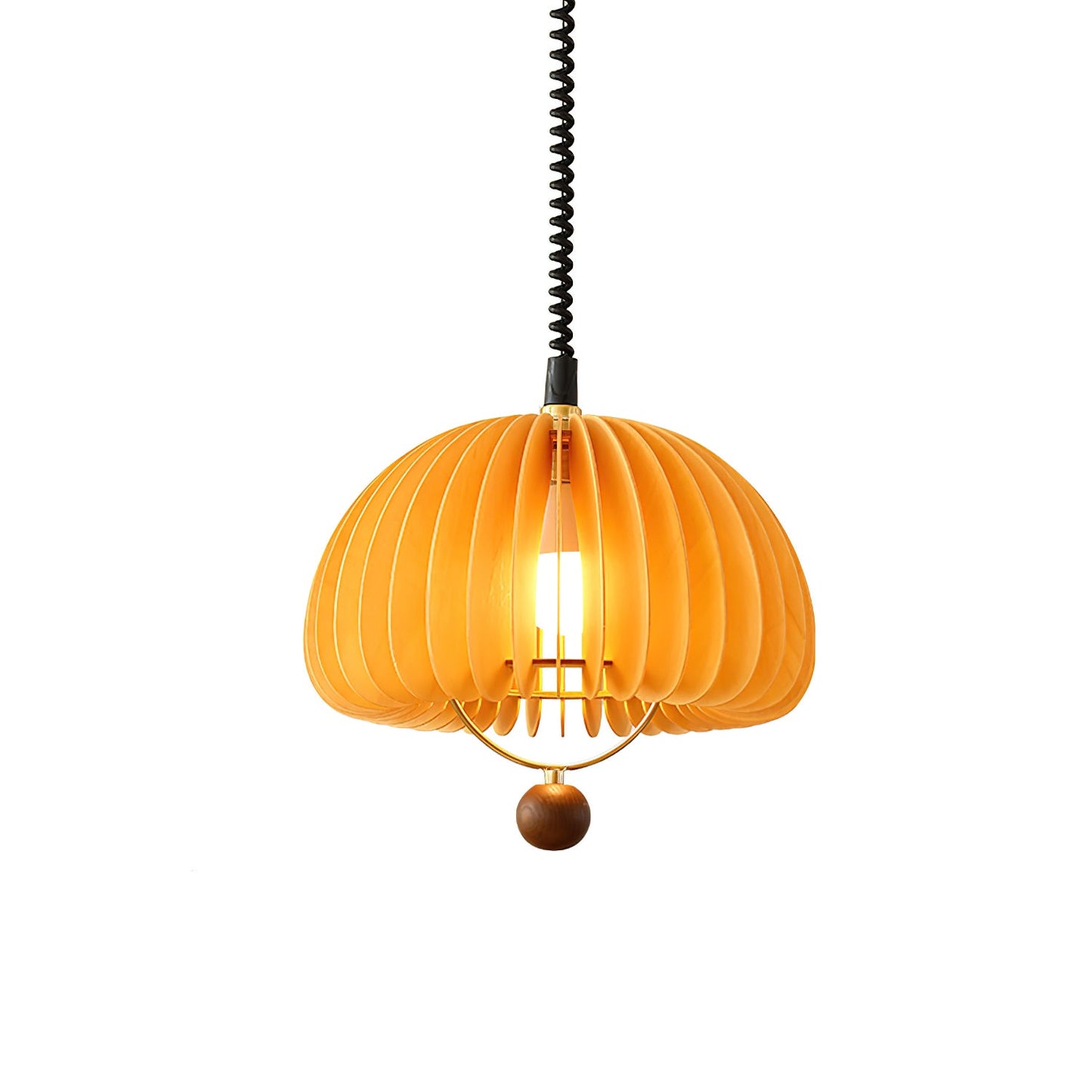 Pumpkin Adjustable Hanging light Pendant Light