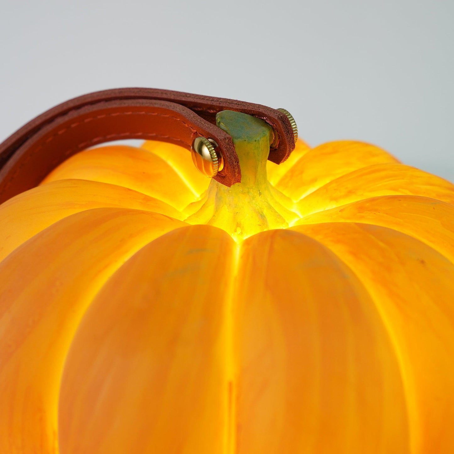 Portable Pumpkin Built-in Battery Bedside lamp Table Lamp