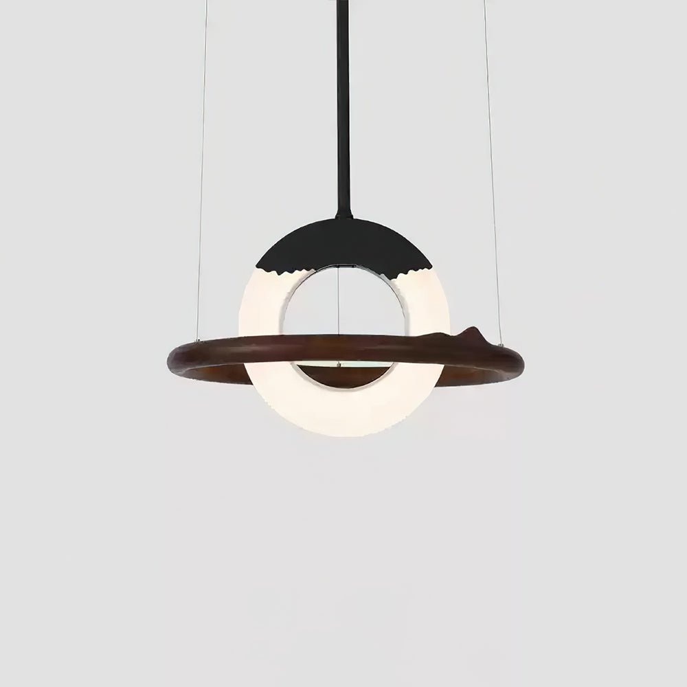 Reincarnation Ceiling light fitting Pendant Lamp