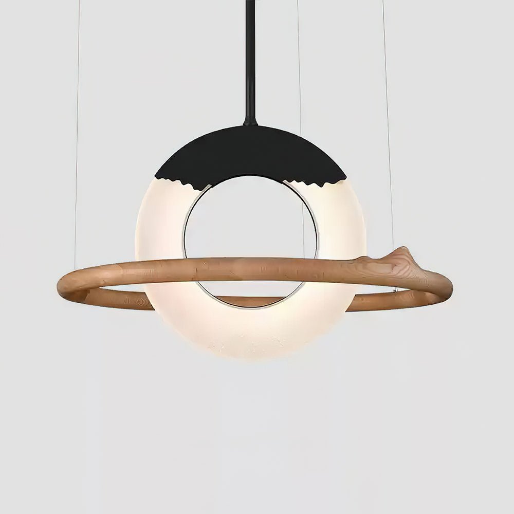 Reincarnation Ceiling light fitting Pendant Lamp