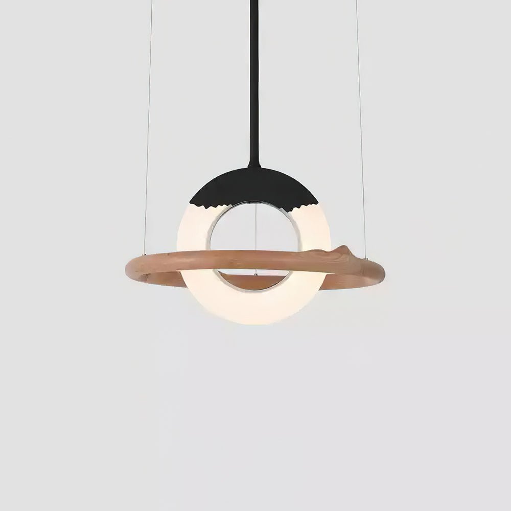 Reincarnation Ceiling light fitting Pendant Lamp