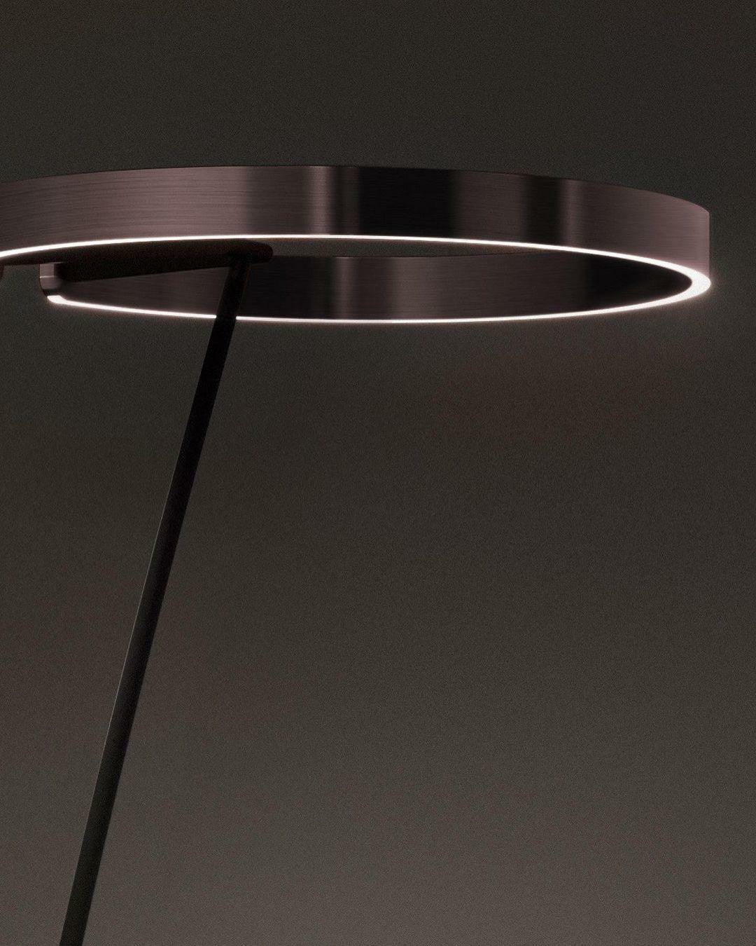 Ring Ambient Floor Lamp Floor Light