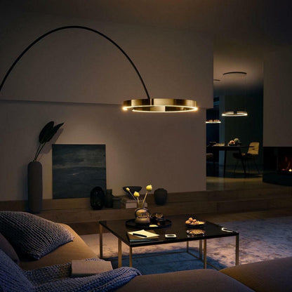 Ring Ambient Floor Lamp Floor Light