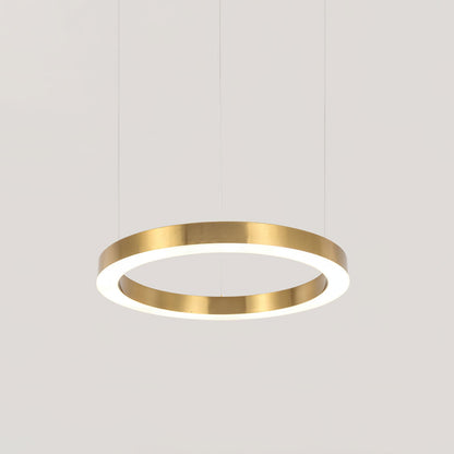 Ring LED Drop light Pendant Light