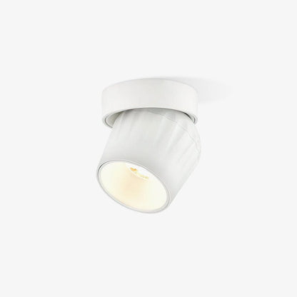 Rotatable Overhead fixture Spotlight