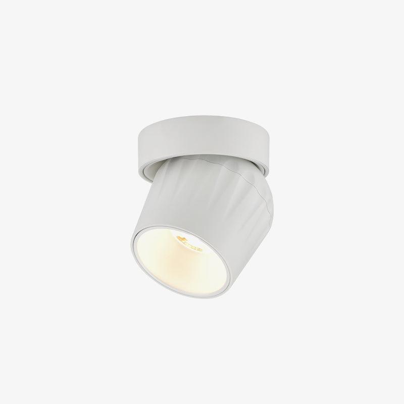 Rotatable Overhead fixture Spotlight