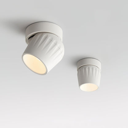 Rotatable Overhead fixture Spotlight