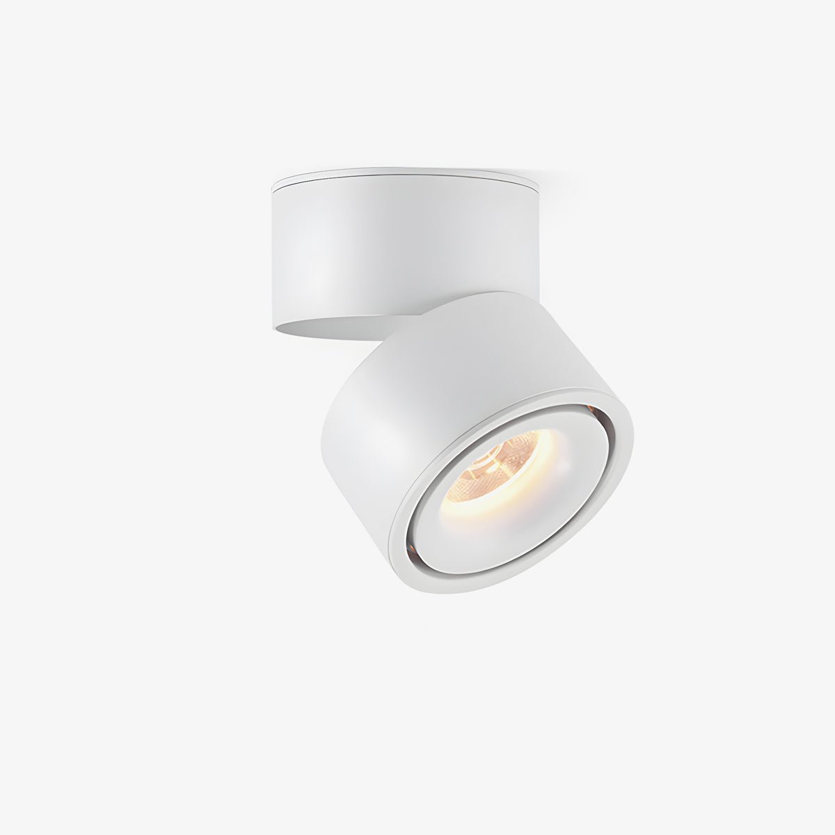 Rotatable Spotlight Ceiling fixture Ceiling Light