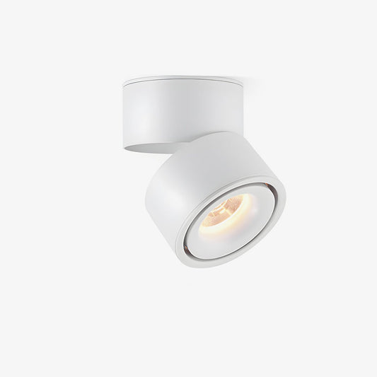 Rotatable Spotlight Ceiling fixture Ceiling Light