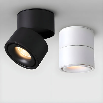 Rotatable Spotlight Ceiling fixture Ceiling Light