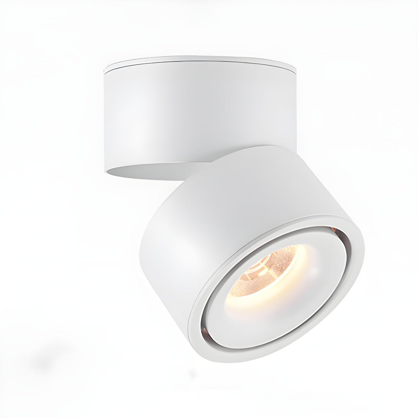 Rotatable Spotlight Ceiling fixture Ceiling Light