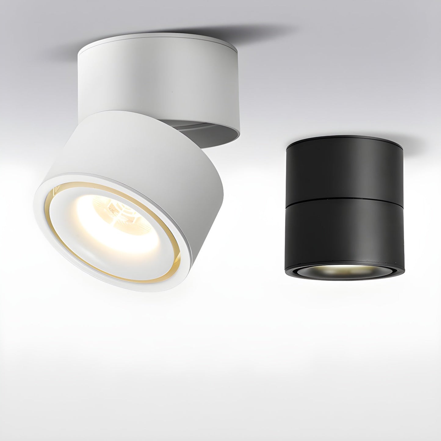 Rotatable Spotlight Ceiling fixture Ceiling Light