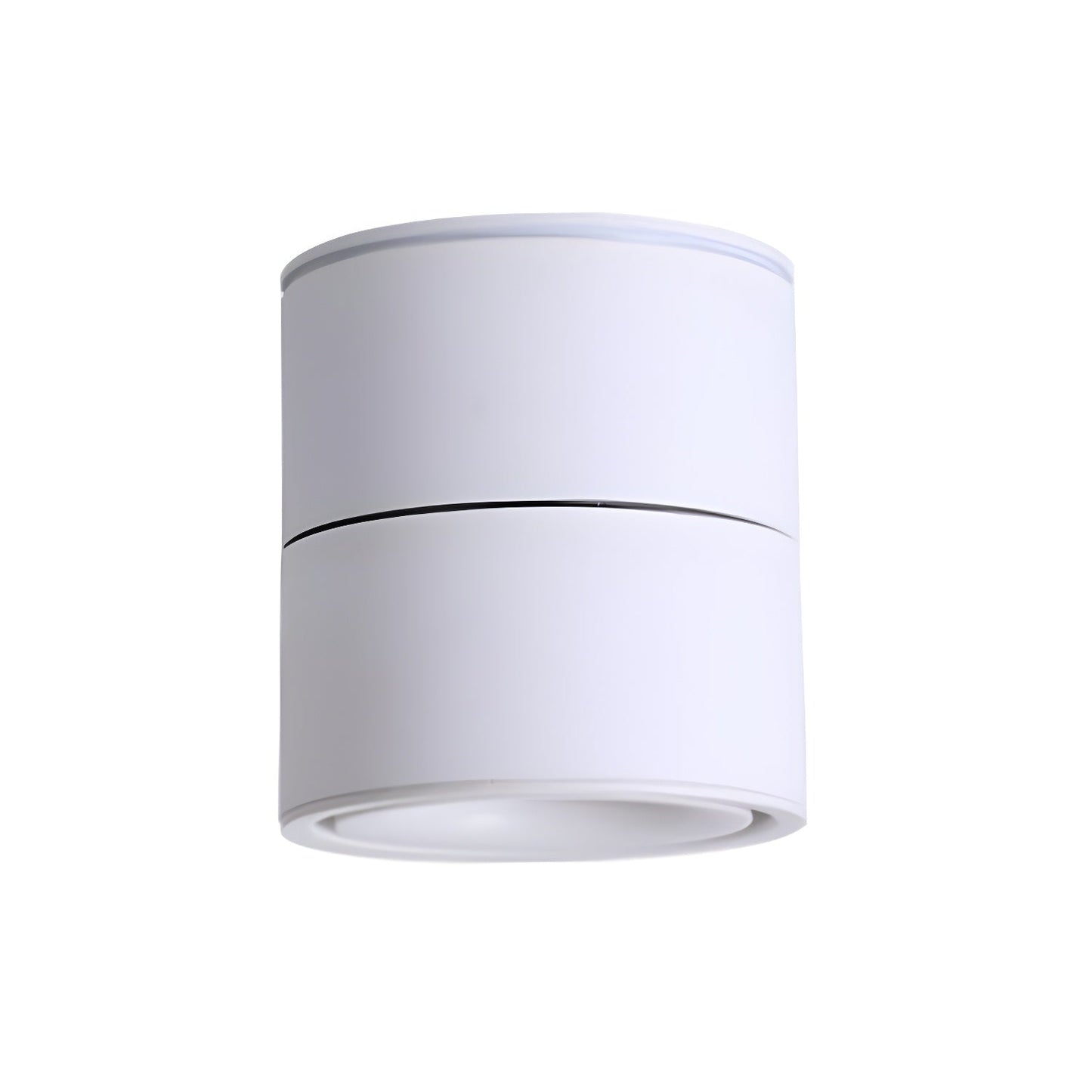 Rotatable Spotlight Ceiling fixture Ceiling Light