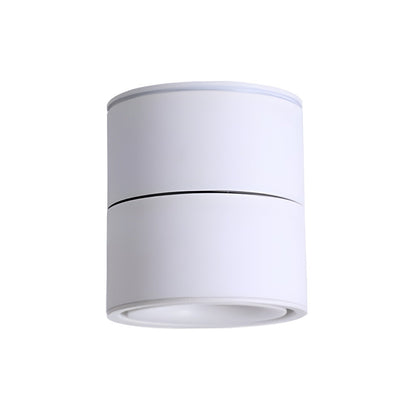 Rotatable Spotlight Ceiling fixture Ceiling Light