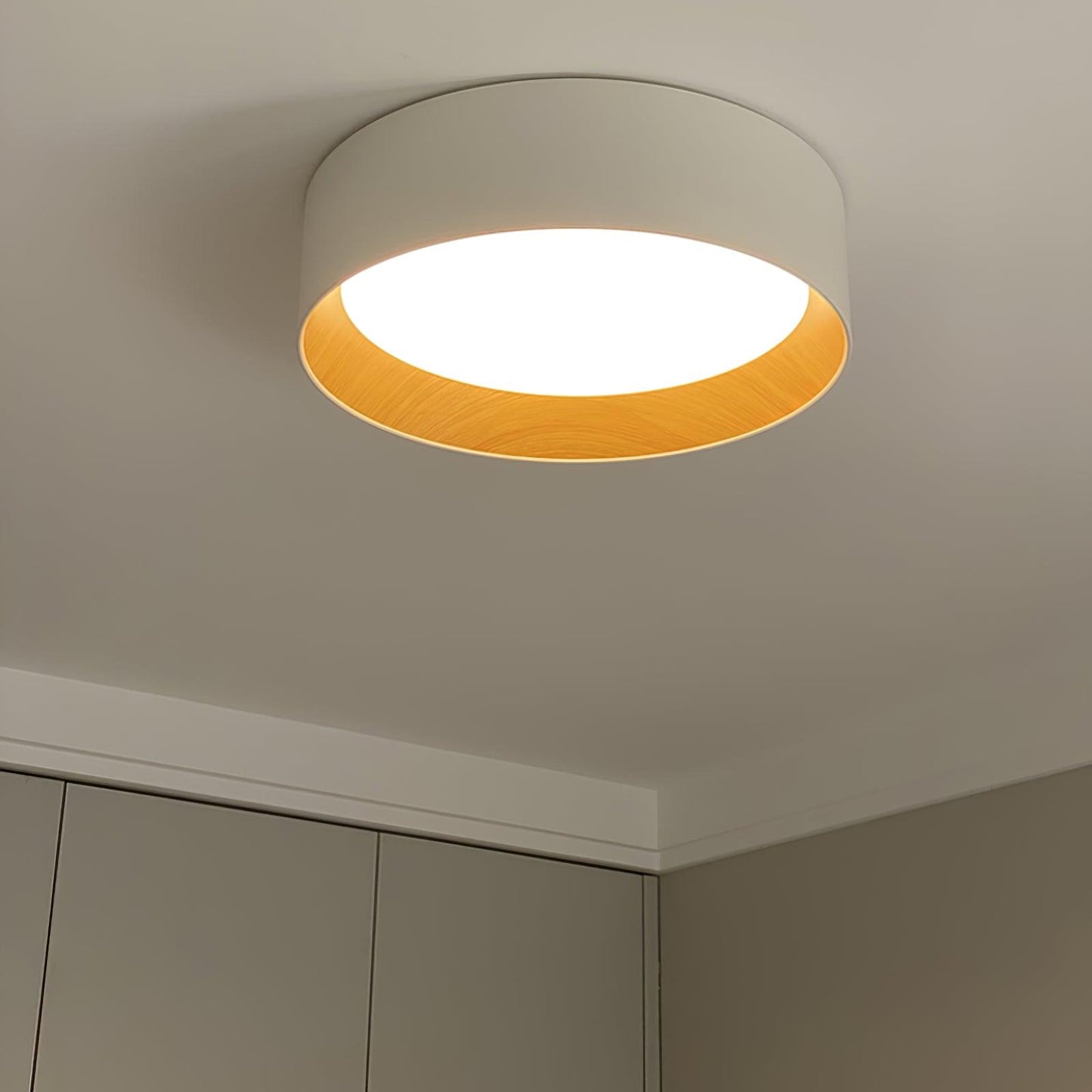 Round Ceiling light Ceiling Lamp