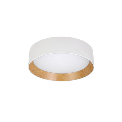 Round Ceiling light Ceiling Lamp