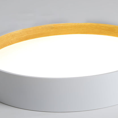 Round Ceiling light Ceiling Lamp