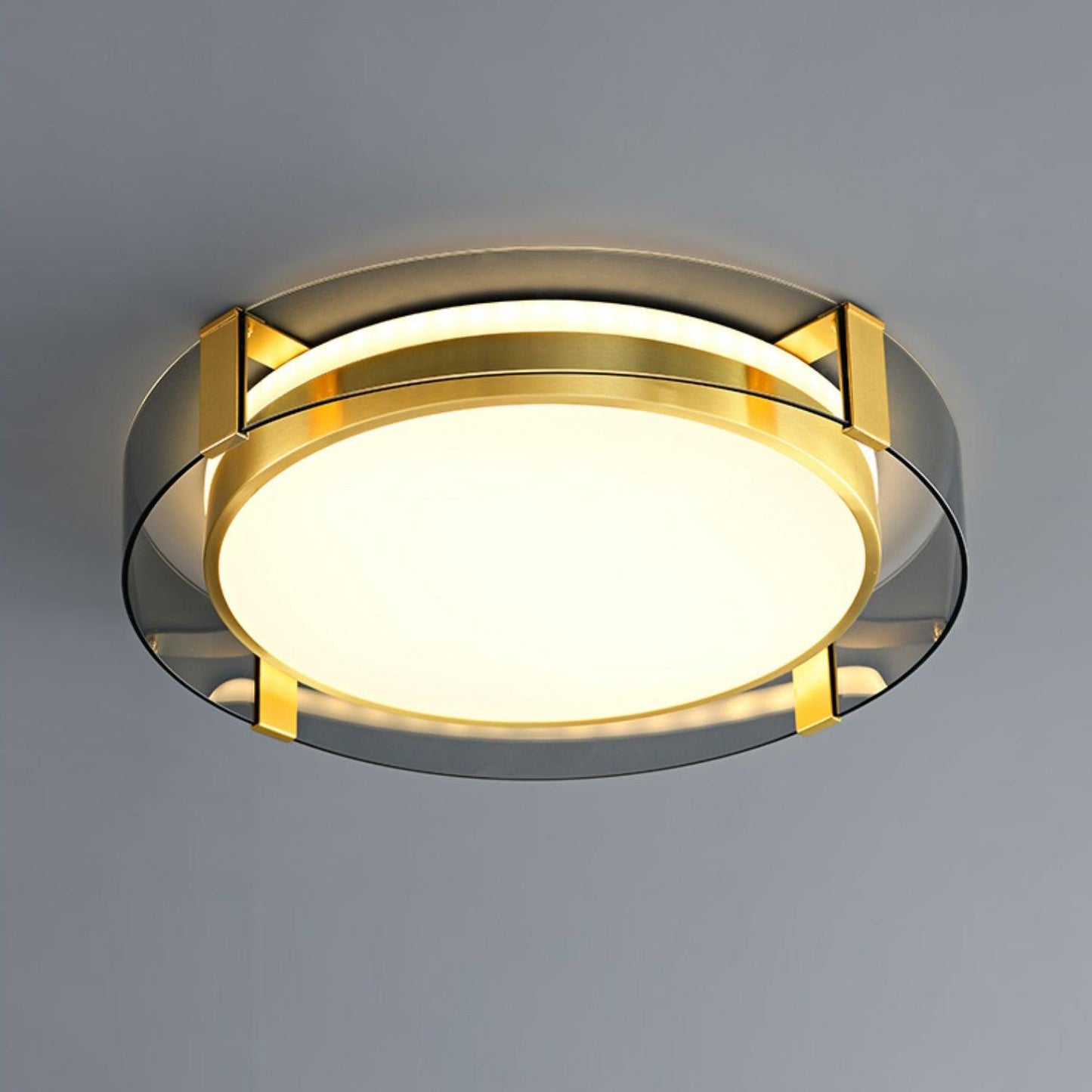 Round Low Profile Ceiling fixture Ceiling Light