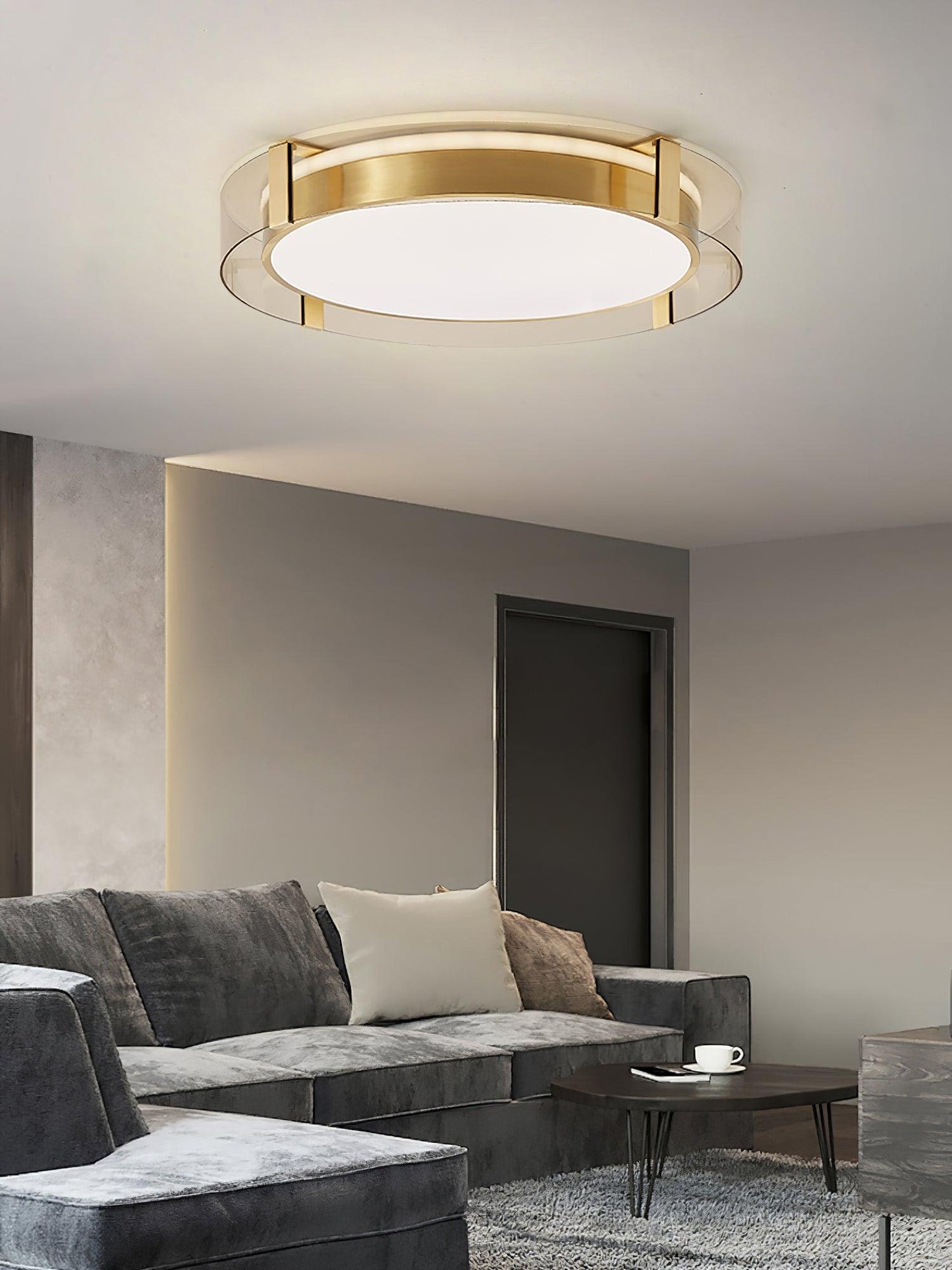 Round Low Profile Ceiling fixture Ceiling Light