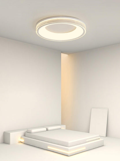 Round Shape Flush Overhead light Ceiling Light