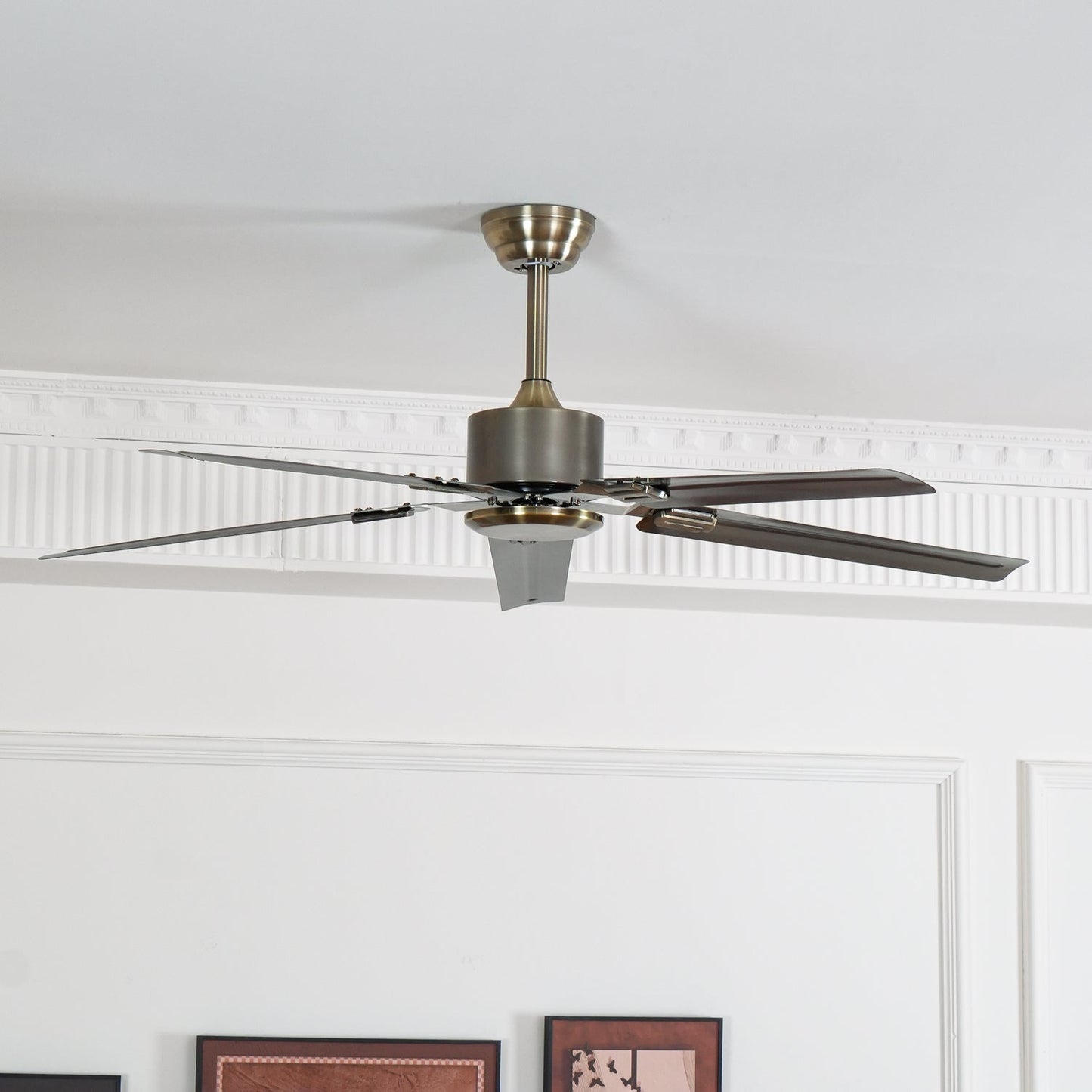 Rozzen Ceiling-mounted light Ceiling Fan 52▼