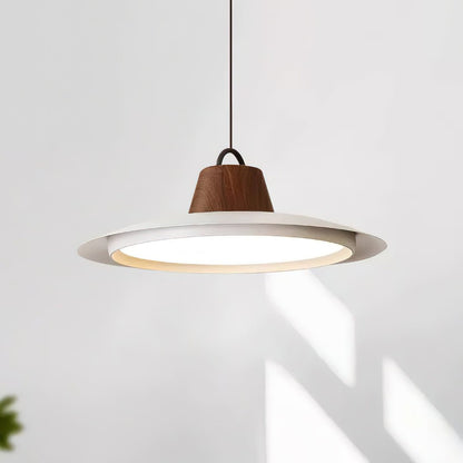 Ruile Ceiling light fitting Pendant Lamp