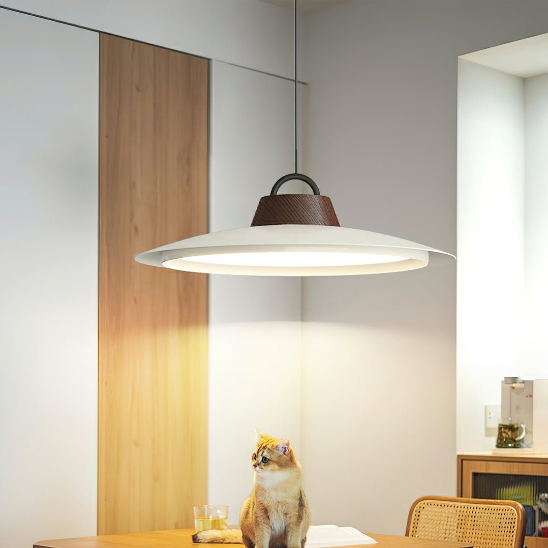 Ruile Ceiling light fitting Pendant Lamp