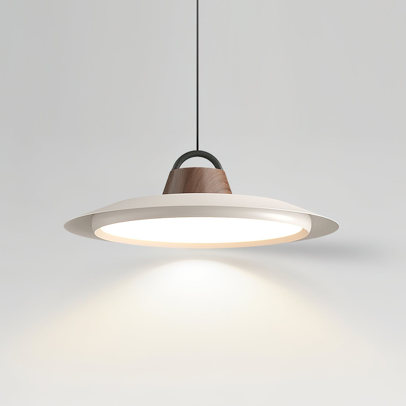 Ruile Ceiling light fitting Pendant Lamp