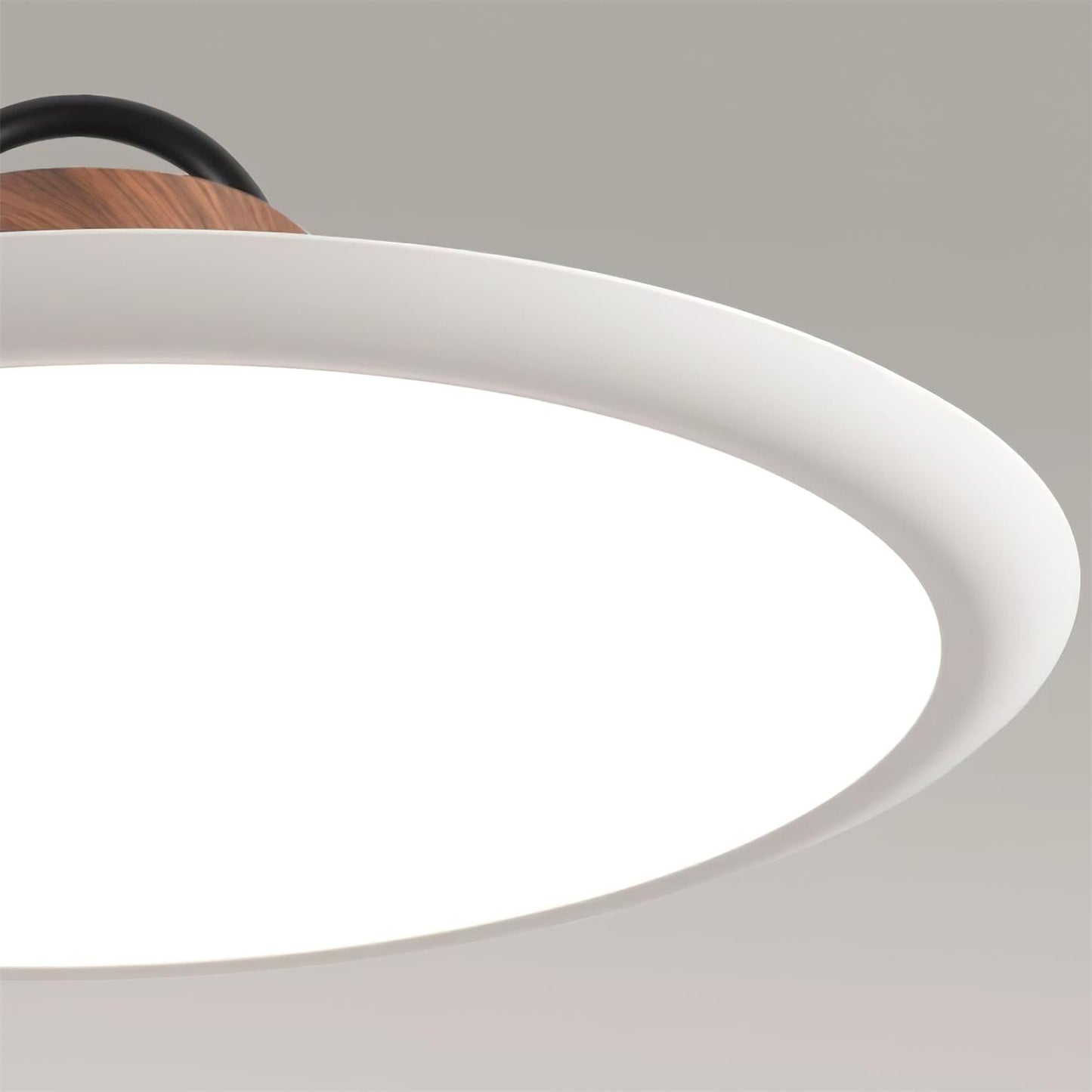 Ruile Ceiling light fitting Pendant Lamp