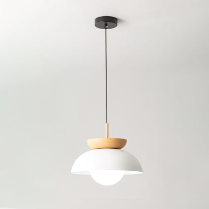 Savie Ceiling light fitting Pendant Lamp